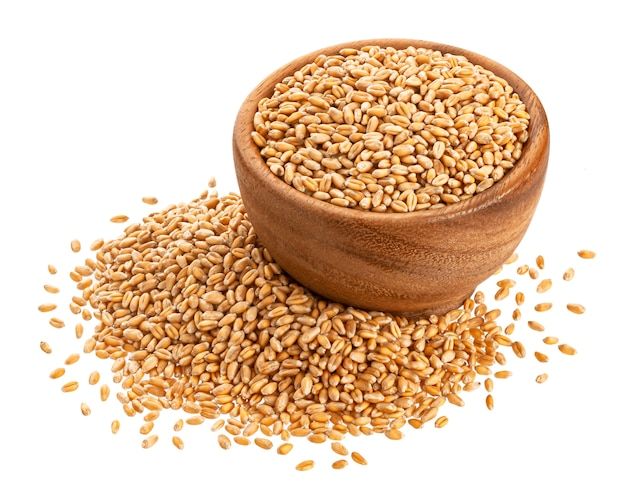 Premium Indian Wheat